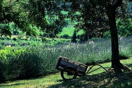 Bastide Le Mourre Holiday home