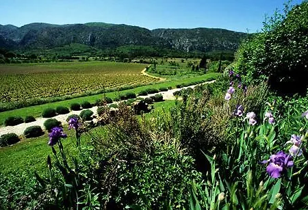 Holiday home Bastide Le Mourre Oppede